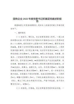 国有企业2022年度党委书记抓基层党建述职报告.docx