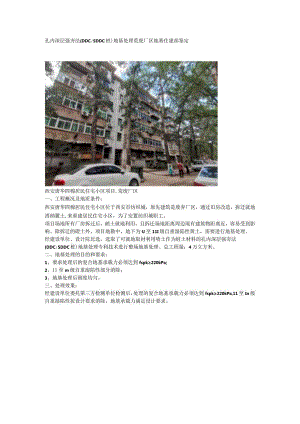 孔内深层强夯法（DDCSDDC桩）地基处理荒废厂区地基住建部鉴定.docx