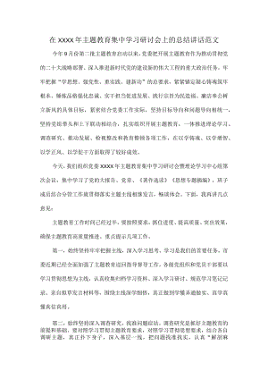 在XXXX年主题教育集中学习研讨会上的总结讲话范文.docx