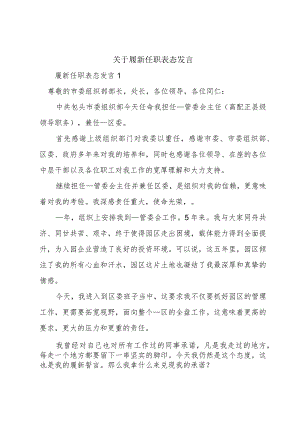 关于履新任职表态发言.docx