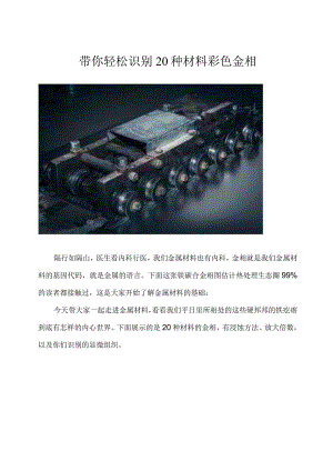 带你轻松识别20种材料彩色金相.docx