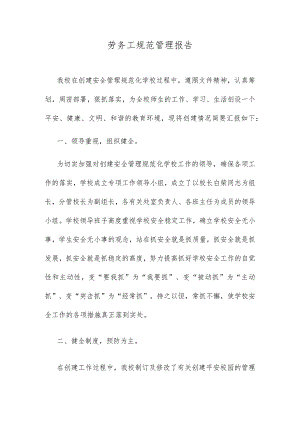 劳务工规范管理报告.docx