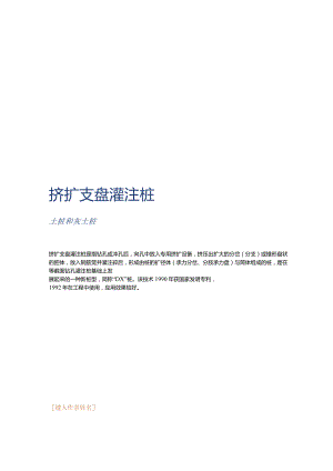 挤扩支盘灌注桩.docx