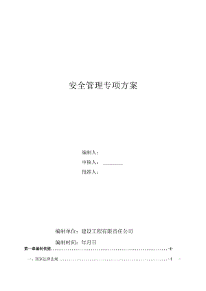 安全专项管理方案.docx