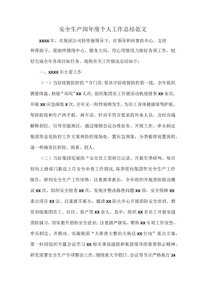 安全生产岗年度个人工作总结范文.docx