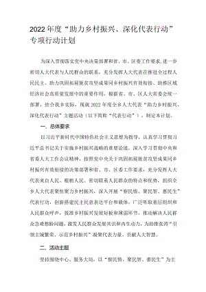 2022年度“助力乡村振兴、深化代表行动”专项行动计划.docx