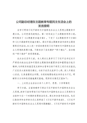 2023年主题教育专题民主生活会发言提纲（公司副总经理）.docx