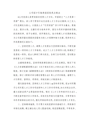公司招才引智典型经验亮点做法.docx