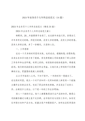 2024年业务员个人年终总结范文（34篇）.docx