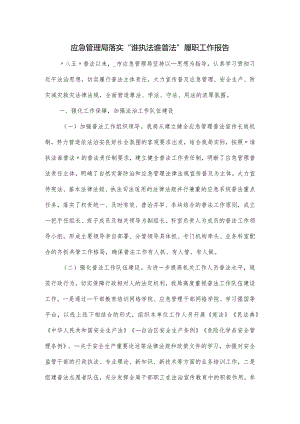 应急管理局落实“谁执法谁普法”履职工作报告.docx