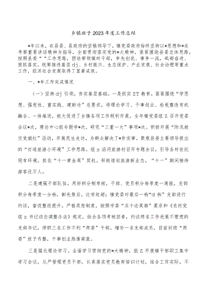 乡镇班子2023年度工作总结.docx