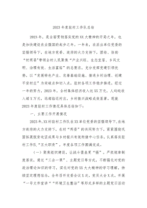 2023年度驻村工作队总结.docx