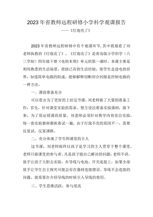 2023年省教师远程研修小学科学观课报告《灯泡亮了》.docx