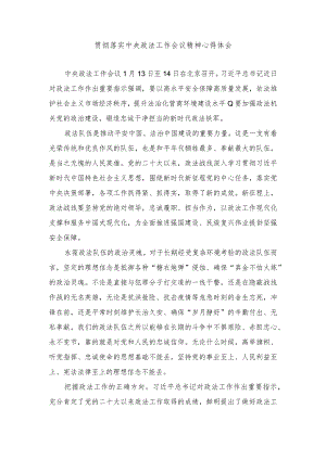 （2篇）2024年学习贯彻中央政法工作会议精神心得体会.docx
