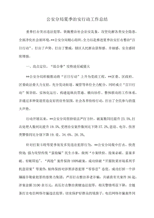 2022年公安分局夏季治安行动工作总结.docx