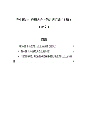 在中国北斗应用大会上的讲话汇编（3篇）（范文）.docx
