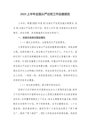 2023上半年全面从严治党工作自查报告.docx