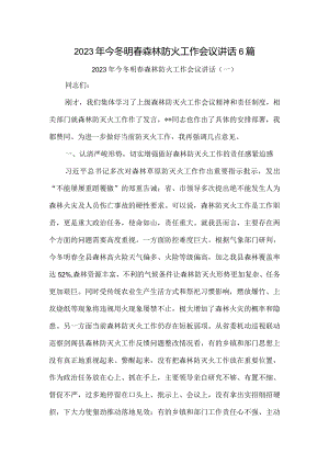 2023年今冬明春森林防火工作会议讲话6篇.docx