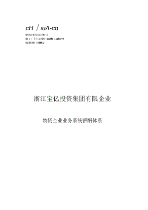 物资公司薪酬体系宝亿集团业务系统全新改进.docx