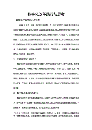 数字化改革践行与思考.docx