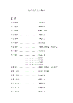 某项目商业计划书.docx