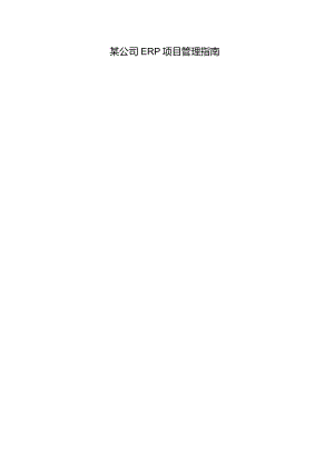 某公司ERP项目管理指南.docx
