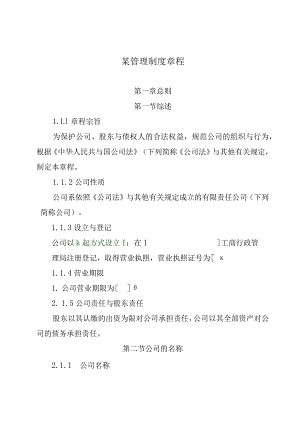 某管理制度章程.docx