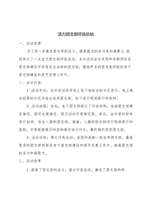 活力团支部评选总结.docx
