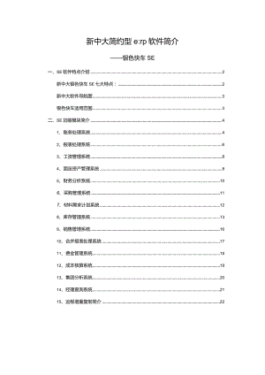 新中大简约型erp软件简介.docx