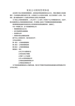 某某公司绩效管理体系.docx