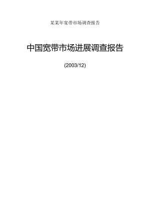 某某年宽带市场调查报告.docx