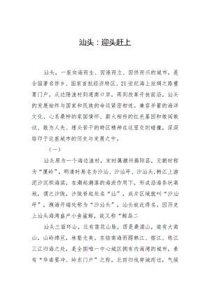 汕头：迎头赶上.docx