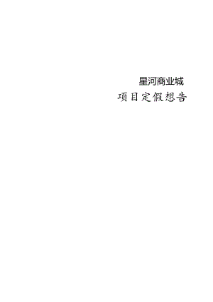 星河商业城项目定位报告.docx