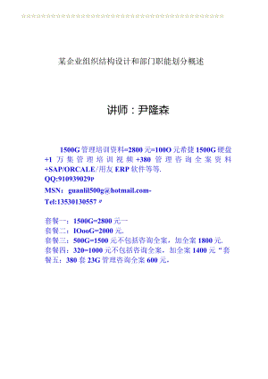 某企业组织结构设计和部门职能划分概述.docx