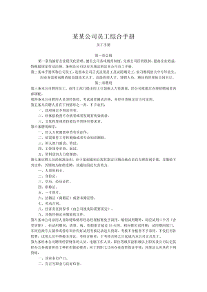某某公司员工综合手册.docx
