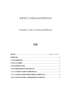 某集团公司非船民品品牌调查问卷.docx