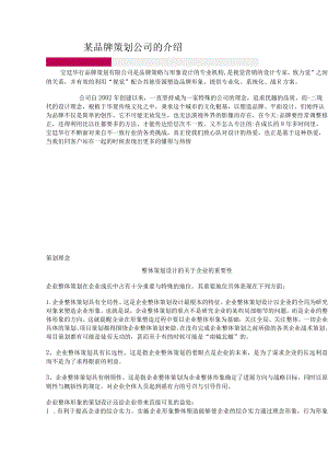 某品牌策划公司的介绍.docx