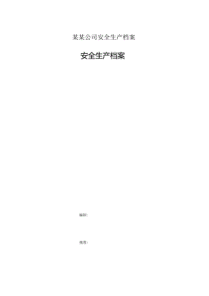 某某公司安全生产档案.docx