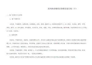 星河商业城项目营销企划方案(下).docx