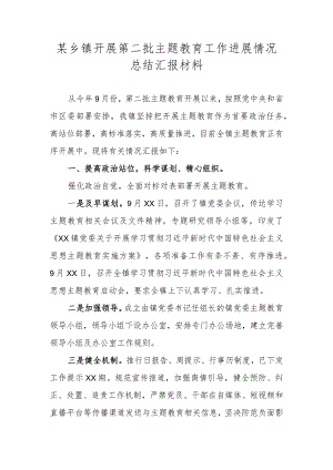 某乡镇开展第二批主题教育工作进展情况总结汇报材料.docx