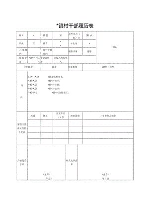 村干部履历表.docx