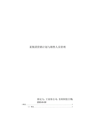 某集团营销计划与销售人员管理.docx