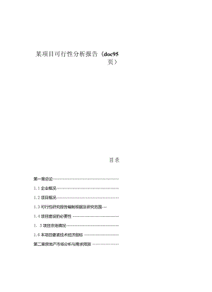 某项目可行性分析报告(doc95页).docx