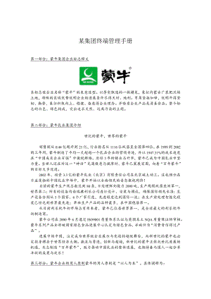 某集团终端管理手册.docx