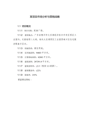 某项目市场分析与营销战略.docx