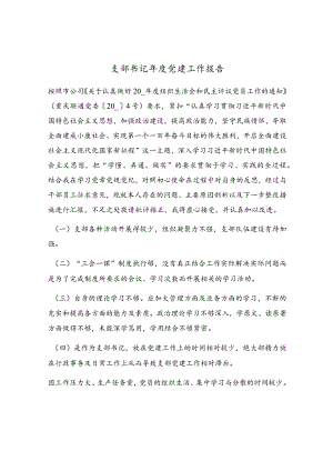 支部书记年度党建工作报告.docx