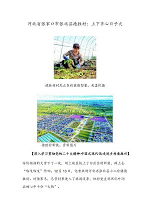 河北省张家口市张北县德胜村：上下齐心日子火.docx
