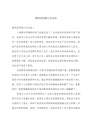 教师试用期工作总结.docx