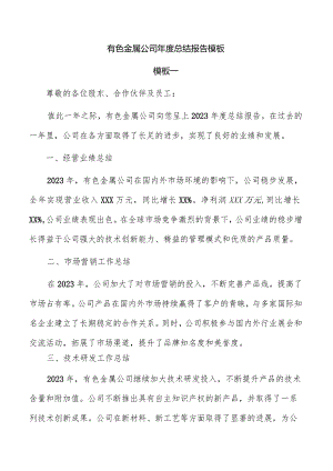 有色金属公司年度总结报告模板.docx