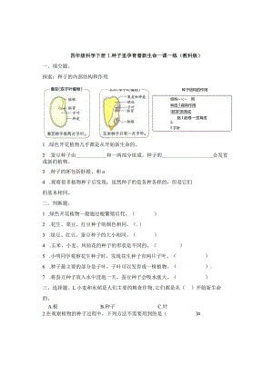 教科版四年级下册第一单元1.1《种子里孕育着新生命》习题.docx